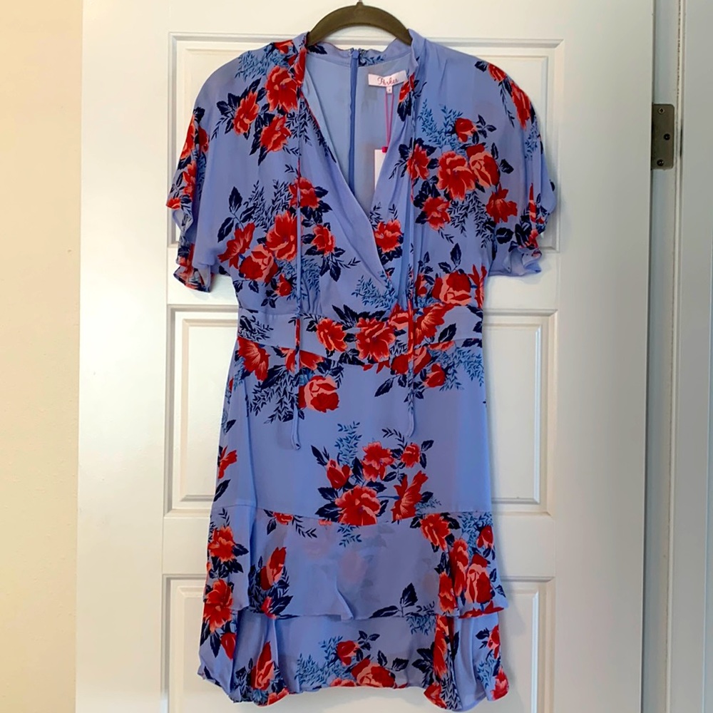 A Beautiful Parker Dress in Lilac Blossom Brand New With Tags in a size 0.